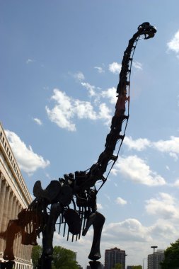 Diplodocus