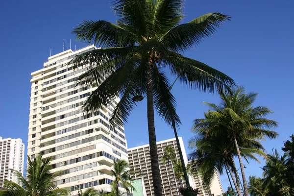 Apartamentos Hawaii — Fotografia de Stock