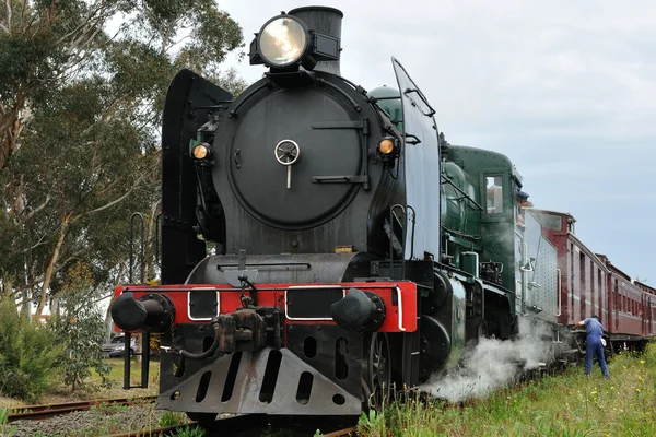 stock image Steam train