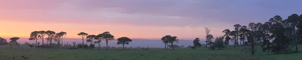 Sunrise panorama — Stok fotoğraf
