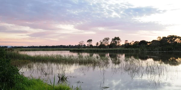 Edithvale-Seaford Wetlands — Stock Photo, Image