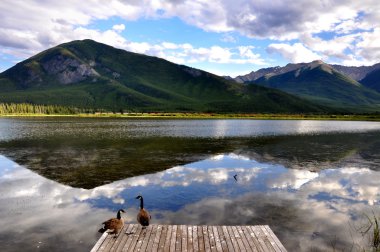 Wild ducks and Vermillion Lake reflection clipart