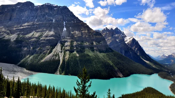 Peyto Lake in Rocky Mountains Canada — Stock Photo, Image
