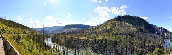 Britische Columbia Wildnis am Yellowhead Highway — Stockfoto