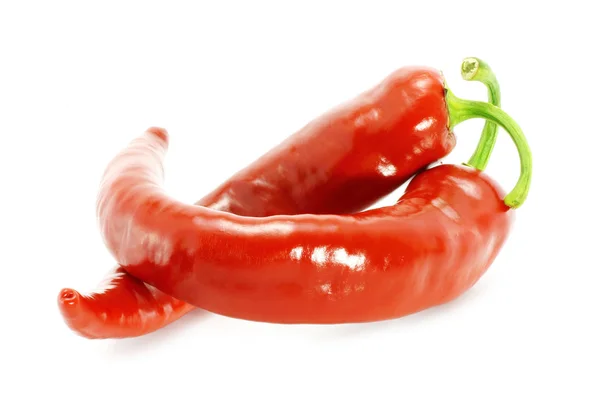 Två röda varma chilipeppar — Stockfoto