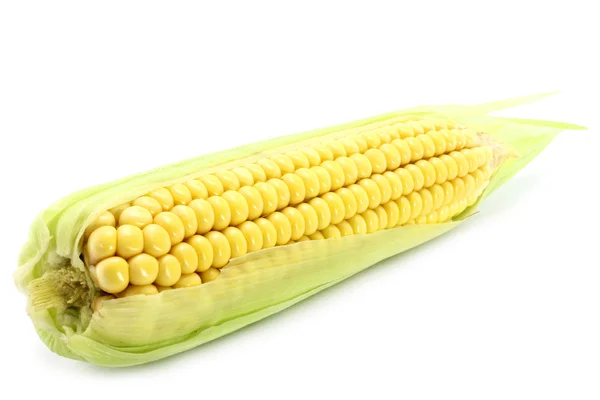 Corn isolated — Stock Photo, Image