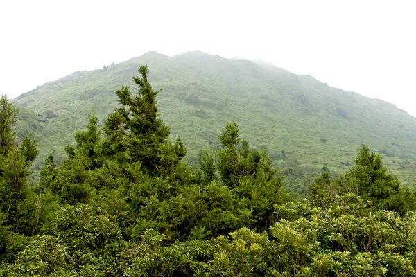 Widoki na góry yangming — Zdjęcie stockowe