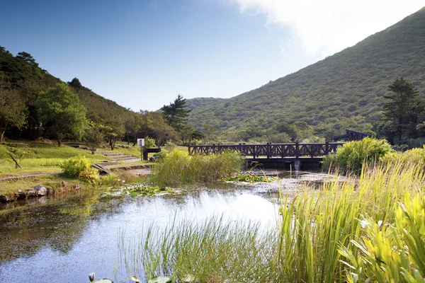 stock image Landscape of national park