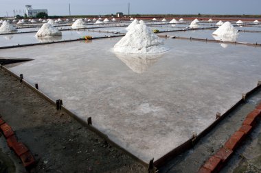 Salt farm