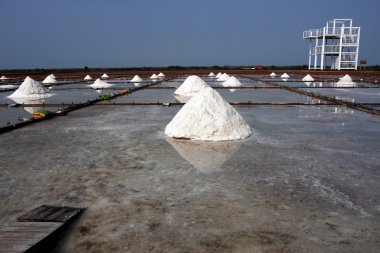 Salt farm