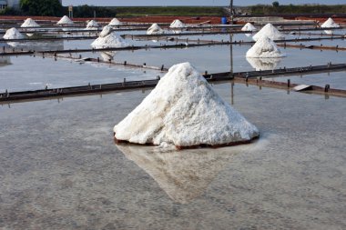 Salt farm