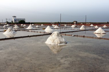 Salt farm