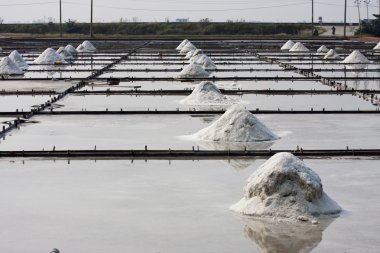 Salt farm