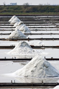 Salt farm