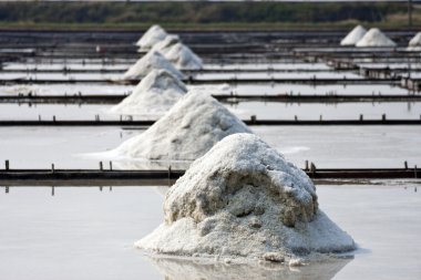 Salt farm