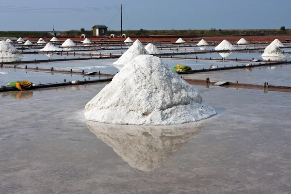 Salt gård — Stockfoto