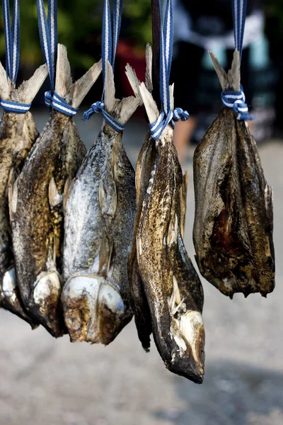 Leite e peixe salgados — Fotografia de Stock