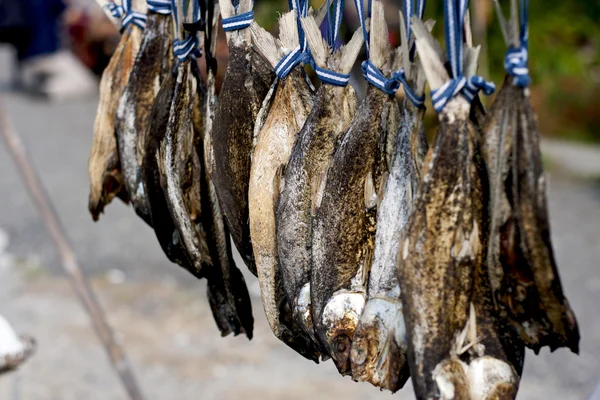 Leite e peixe salgados — Fotografia de Stock