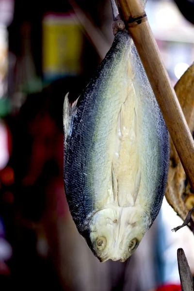 Соленая молочная рыба — стоковое фото