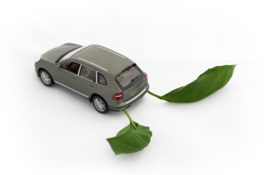 yeşil yaprakları ve bir car.ecology anlayışı