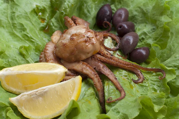 Portion octopus — Stock Photo, Image