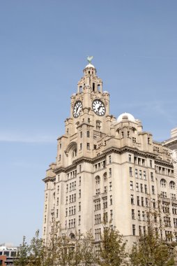 Liver Building and Clocktower clipart