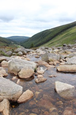 Wicklow Dağları