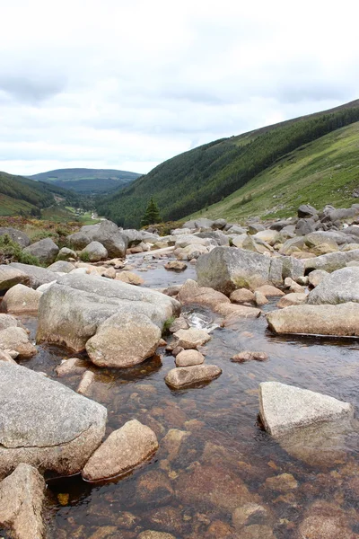 stock image Stream in ireland