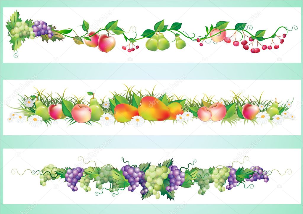 Fruits diet border