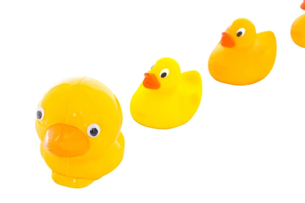 Toy duck family — Stock Photo, Image