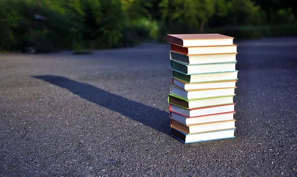 12 olika böcker liggande på trottoaren — Stockfoto