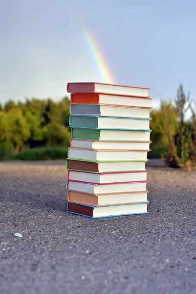 12 olika böcker liggande på trottoaren — Stockfoto