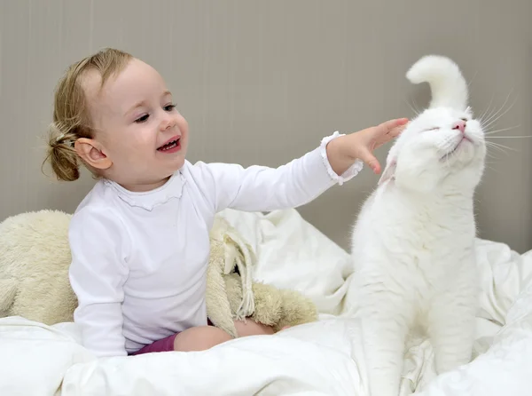 Dziewczynka siedzi na łóżku i gra z kotem — Zdjęcie stockowe