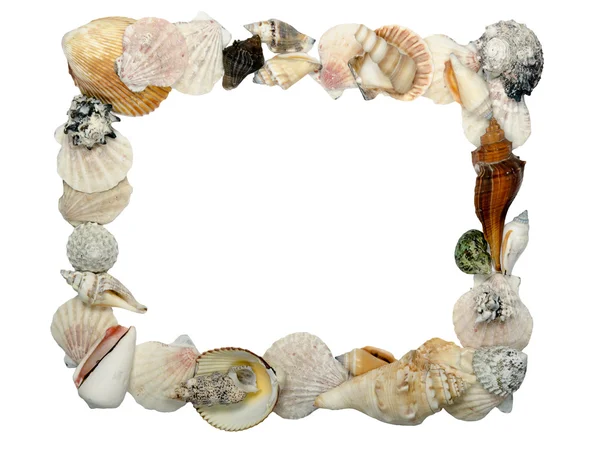 Frame gemaakt van schelpen, plaats voor tekst — Stockfoto