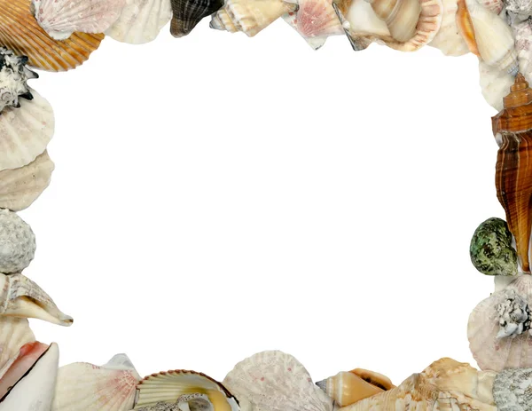 Quadro feito de conchas, lugar para texto — Fotografia de Stock