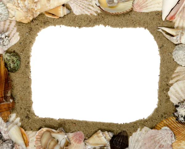 Frame gemaakt van schelpen, plaats voor tekst — Stockfoto