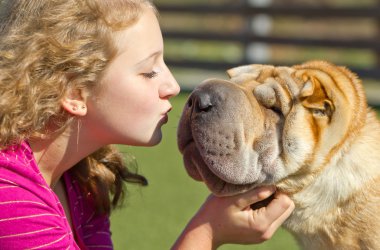 genç kız köpek öpüşme