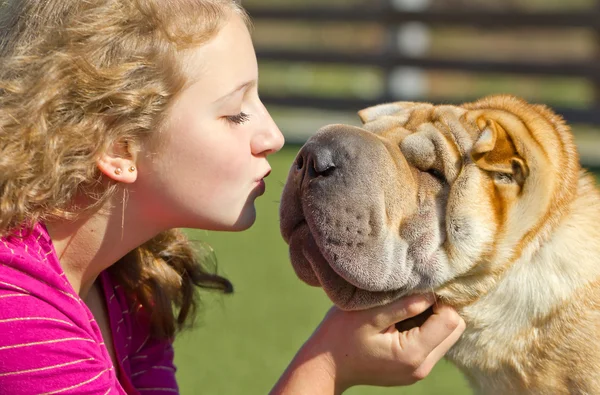Dziewczyna całując psa — Zdjęcie stockowe