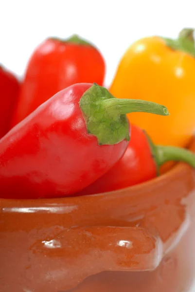 Variedad de chiles — Foto de Stock