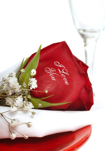 Красная роза, которая говорит, что я люблю тебя — стоковое фото