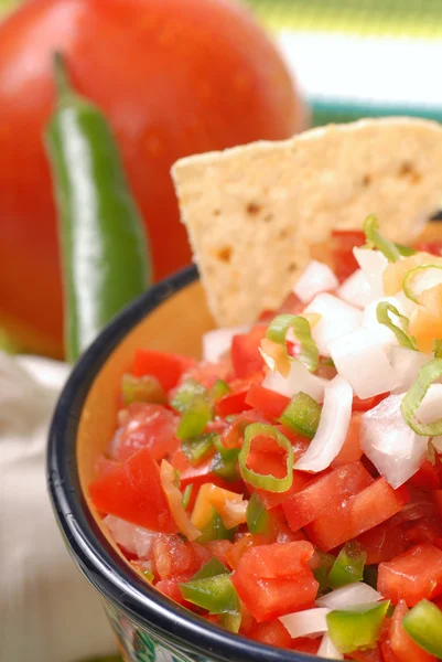 Pittige salsa met verscheidenheid van ingrediënten — Stockfoto