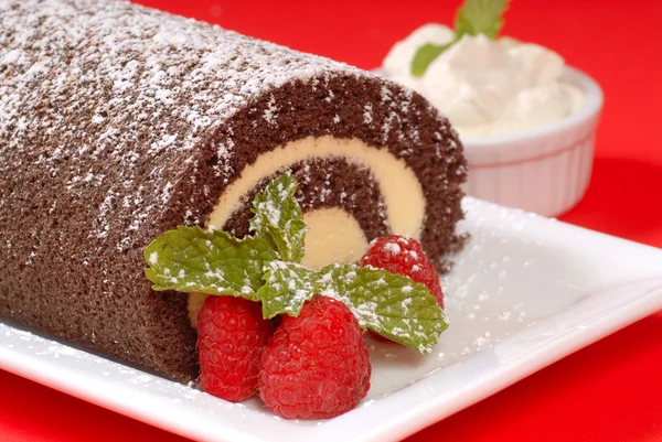 Gâteau Noël Buche de Noel — Photo