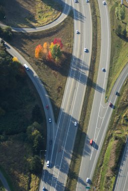 Autumn Trees Along Highway - Aerial clipart