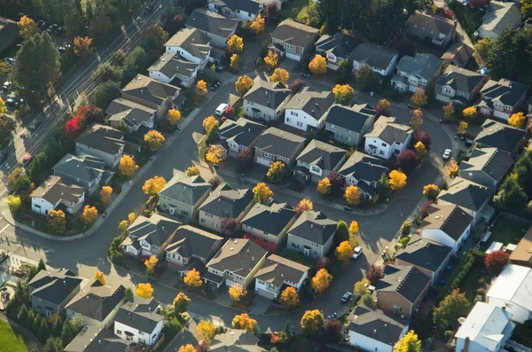 Árboles amarillos en el desarrollo de pequeños suburbios — Foto de Stock