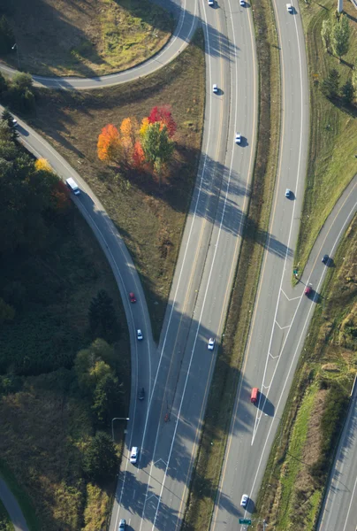 Arbres d'automne le long de l'autoroute - Aérien — Photo