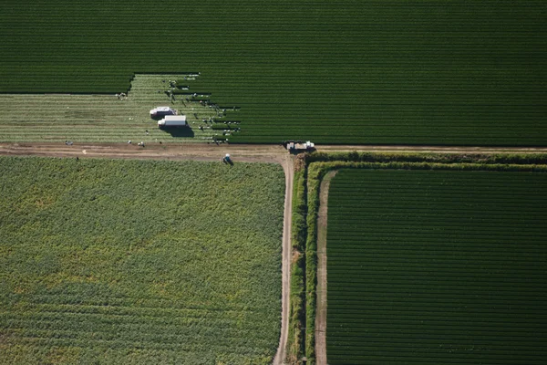 Abstracte luchtfoto patroon van veld — Stockfoto