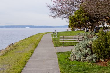 waterfront patika boyunca banklar