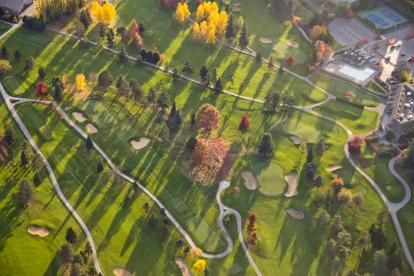 แถวของต้นไม้ที่สนามกอล์ฟ — ภาพถ่ายสต็อก