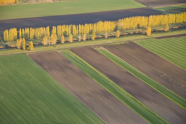 Vista abstrata dos campos agrícolas e da linha de árvores — Fotografia de Stock