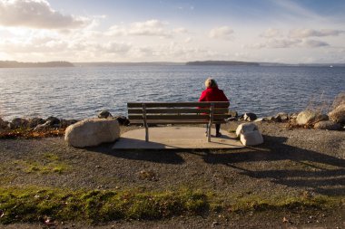 Old Woman Enjoying the View at a Waterfront Park clipart